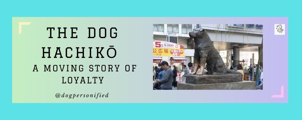 hachiko loyal dog story